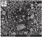 A - spherical forms of aluminosilicated glass SEM, zoom 30