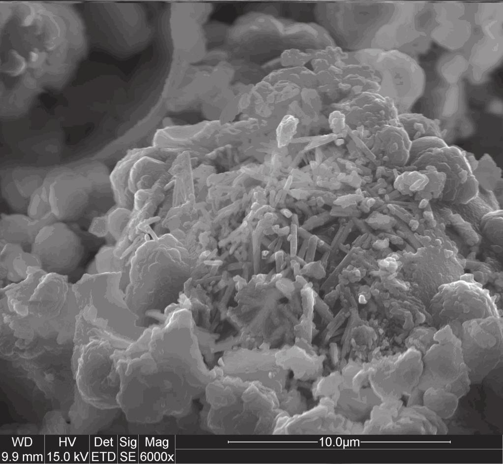 Materiał zeolitowy typu X otrzymany z popiołu lotnego... 31 Fot. 3. Materiał zeolitowy otrzymany metodą syntezy niskotemperaturowej. Phot. 3. Zeolitic material obtained through low-temperature synthesis.