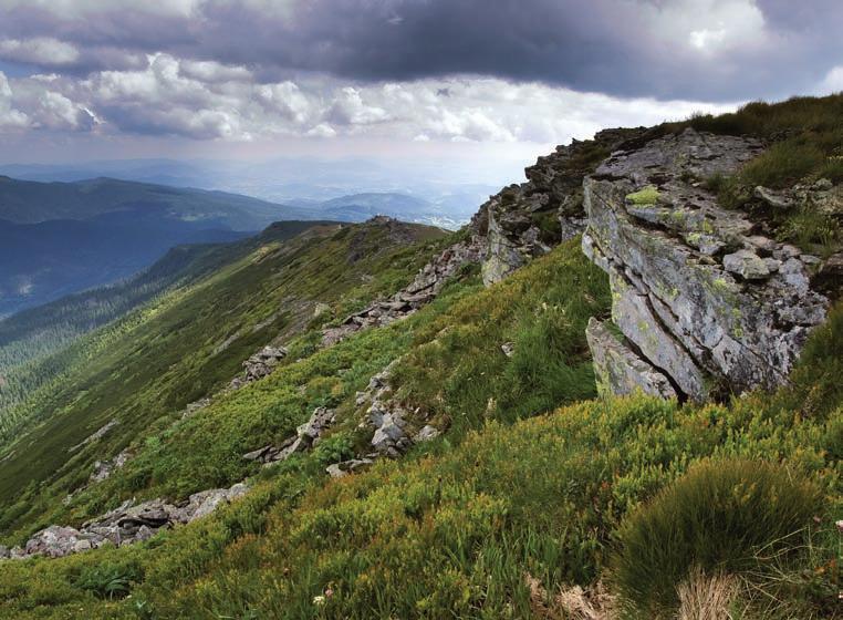 Niższy jest Beskid Śląski z najwyższą po polskiej stronie górą Skrzyczne (1257 m n.p.m.), a najniższy spośród tych trzech pasm jest Beskid Mały, którego szczyty nie przekraczają 1000 m n.p.m. Te sąsiadujące ze sobą masywy górskie łączy szereg cech związanych m.