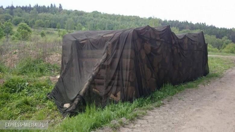 Nadleśnictwa zwalczają kornika przykrywając zasiedlone nie okorowane drewno siatką STORANET.