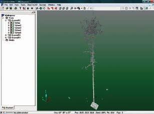 Prace kameralne } Wstępna obróbka pozyskanych danych Prace te polegały na przefiltrowaniu skanów oraz połączeniu ich w chmury punktów 3D, odpowiadających obrazom poszczególnych drzew modelowych.