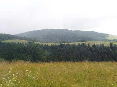 Załącznik nr 2 Do Uchwały Rady Gminy Bukowsko Nr XXXVI/249/10 z dnia 26