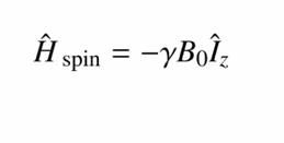Hamiltonianu działający na spin znajdujący się w polu magnetycznym gdzie γ stosunek giromagnetyczny,