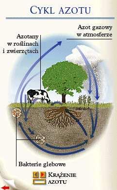 różnych siedlisk