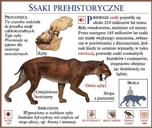 Dzięki niej można znaleźć inne tematy, które łączą się z aktualnie przeglądanym. Autorzy nie zapomnieli oczywiście o ochronie przyrody.