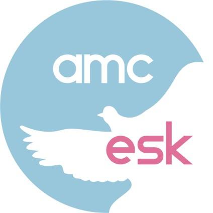 Elektroniczny system konstatowania AMC ESK Instrukcja obsługi Wersja 1.80 AMC ESK ul.