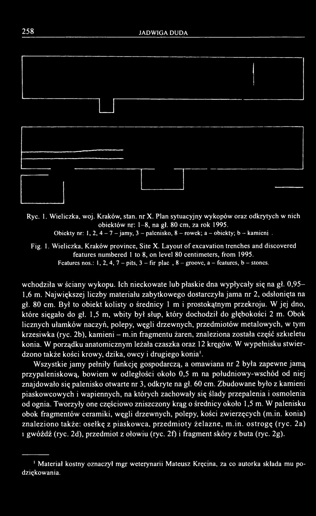 Layout of excavation trenches and discovered features numbered 1 to 8, on level 80 centimeters, from 1995. Features nos.: 1, 2, 4, 7 - pits, 3 - fireplace, 8 - groove, a - features, b - stones.