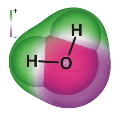 atomy atom węgla 6 protonów w jądrze 6 elektronów r=