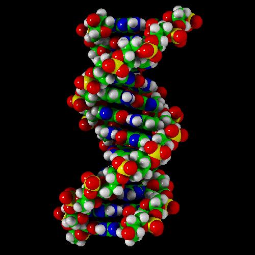 DNA nanostruktury