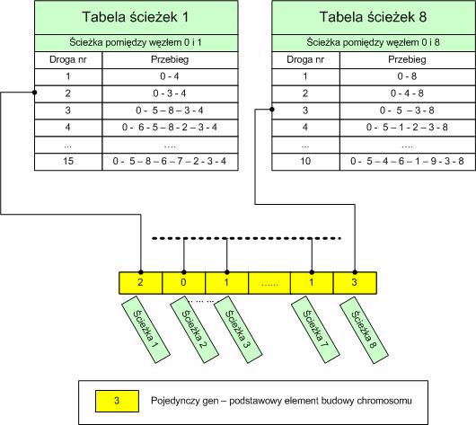 4. Zastosowana implementacja opis własnych rozwiązań odpowiadających im tablic trasowania. Definicja klasy obiektów typu gen została przedstawiona na listingu 4.5.