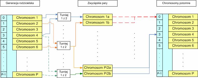 4. Zastosowana implementacja opis własnych rozwiązań przedstawiony jako Chromosom 1a w sekcji Zwycięskie Pary ). Podobnie w drodze turnieju wybiera się drugi element pary rodzicielskiej (na rysunku 4.