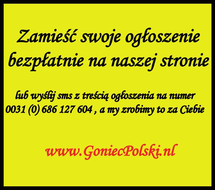 Ocze ku je my: zna jo - mo ści ję zy ka an giel skie go lub ho len der skie go, chę ci do na uki i mo ty wa cji do pra cy, ak tu al ne - go za świad cze nia o nie ka ral no - ści (oso by za mel do wa