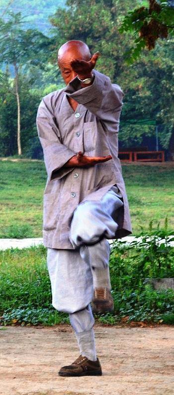 1 SHAOLIN ROU QUAN ER LU fot.1. fot.1: Shaoliński mnich Shi De Lin praktykujący drugą formę stylu Shaolin Rou Quan Er Lu. ( fot. Maciej Manowski 2014.