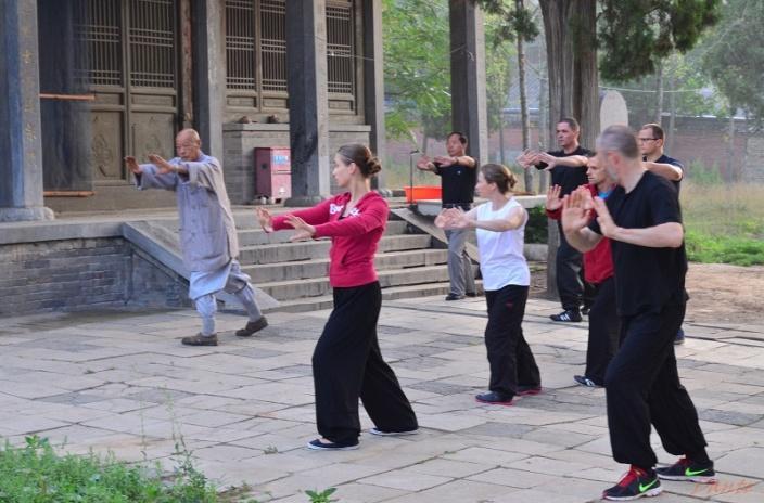 2 spokojne ruchy wplecione są akcje dynamiczne, często z wykorzystaniem siły eksplozywnej (Chin: fa jing ). Shaolin Rou Quan uważany jest przez mnichów za zaawansowany klasztorny styl kung fu.