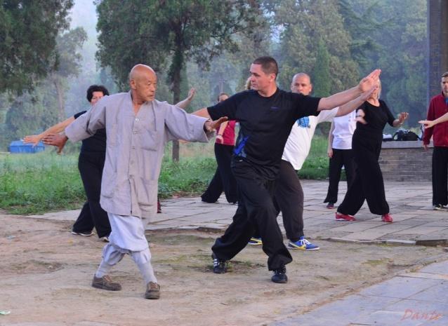 Tworzące go akcje łączą w sobie kwintesencję technik walki powstałych w klasztorze Shaolin z poetyckim urokiem powolnych ruchów spotykanym na przykład w taijiquan.