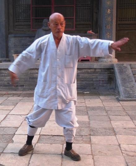 93 ) 19. Jin Ji Du Li Złoty kogut stoi na jednej nodze. fot.94. fot.95.