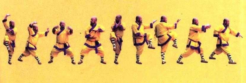 48 fot.125: Mistrz Shi Yan Zhuang nauczający kung fu shaolińskich mnichów. Zdjęcie pochodzi z książki wydanej przez oficynę klasztoru Shaolin p.t. Shaolin Kung Fu. fot.126. fot.126: Mnich Shi Yan Zhuang praktykujący Shaolin Rou Quan Er Lu.