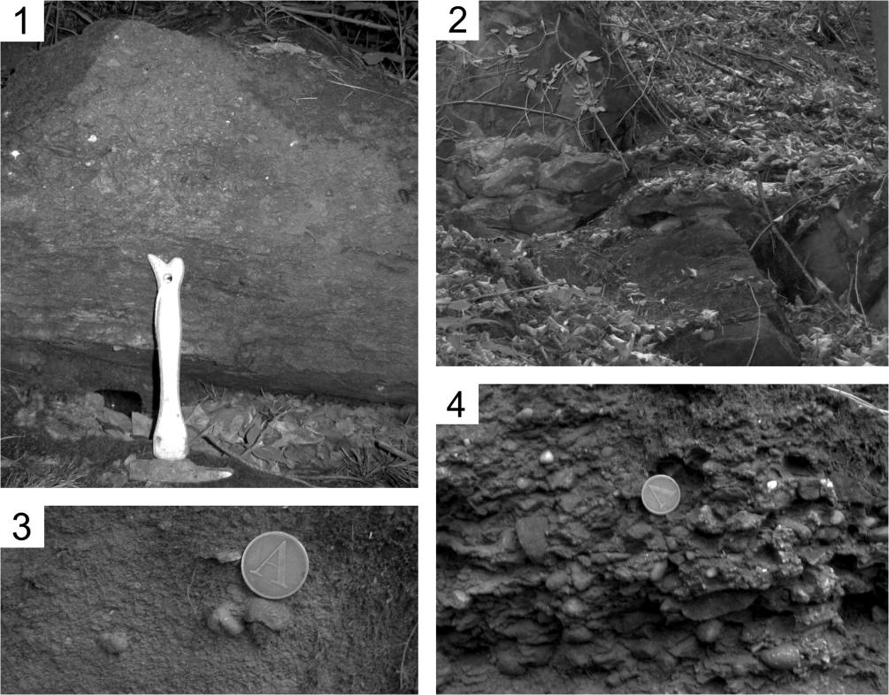 1 Lithology The Szydłowiec sandstones are 150 m thick at their type locality at Wadowice (Sokołowski, 1972).