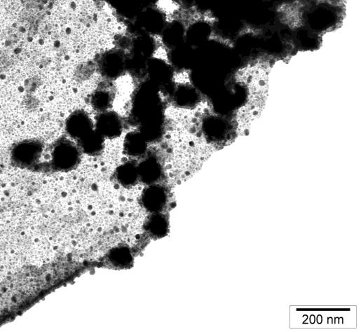 W przypadku próbki z Mo rozmiary nanocząstek są większe wynoszą około 204 ± 0,95 nm, natomiast dla próbki D bez Mo, rozmiary wynoszą