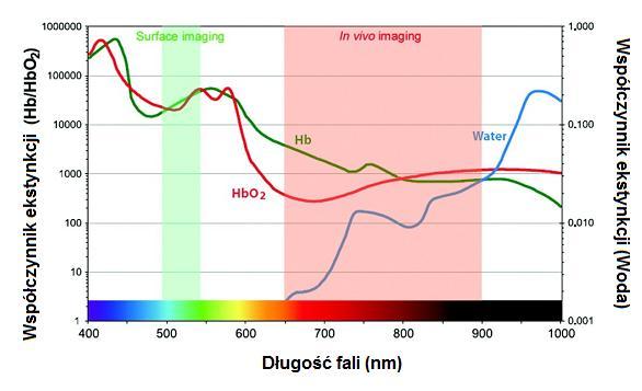 Rys. 2. Wartości współczynnika ekstynkcji wody oraz oksy i deoksyhemoglobiny w obszarze długości fal od światła widzialnego do podczerwieni [2].