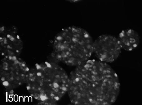 Srednica nanoczastek [nm] Rys. 16.