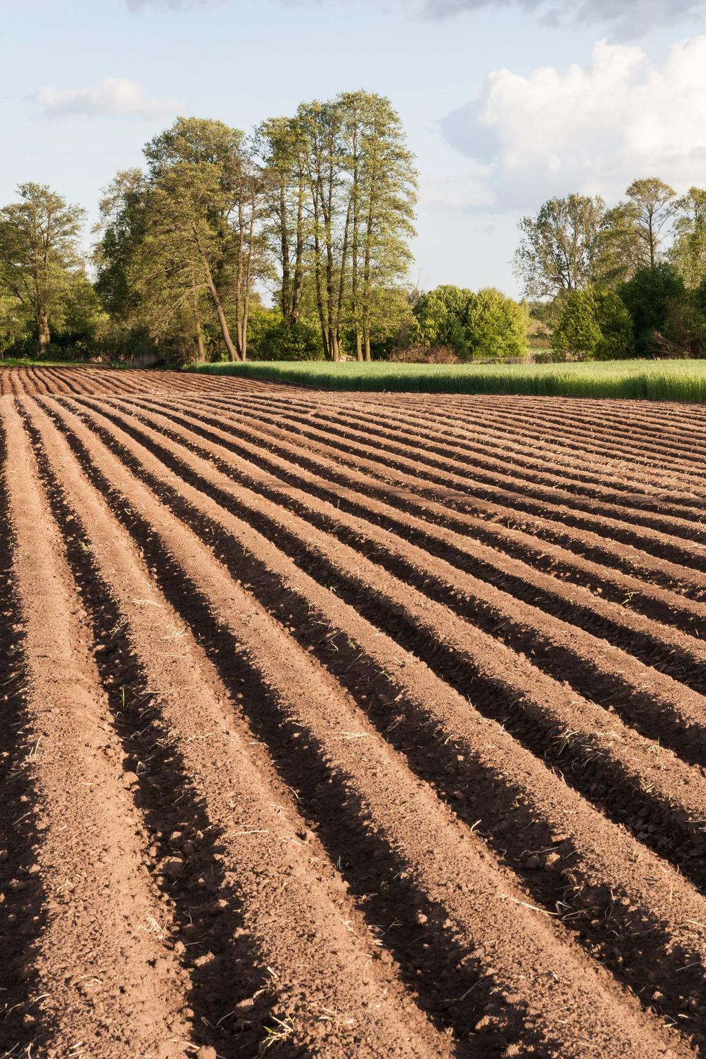 Parametry wpływające na nawożenie bilans materii organicznej w glebie optymalny odczyn zbilansowane nawożenie nieorganiczne Obowiązkowe czynności przed nawożeniem wykonanie analizy chemicznej gleb