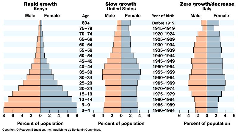 Piramida demograficzna Rodzaje piramid ekspansywna (szybki wzrost)