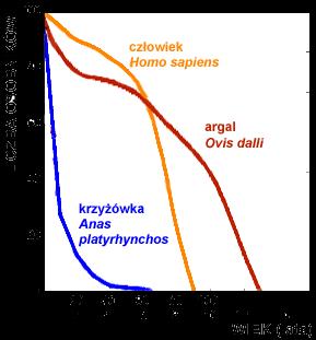 spokrewnionych osobników do rozrodu przetrwać musi dostateczna liczba osobników dla ewolucji