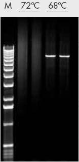 Quik Change warunki reakcji Etap Cykl Temperatura Czas QC PCR 1 1 95 C 30 sek. 2 12 18 95 C 55 C 68 C 30 sek.