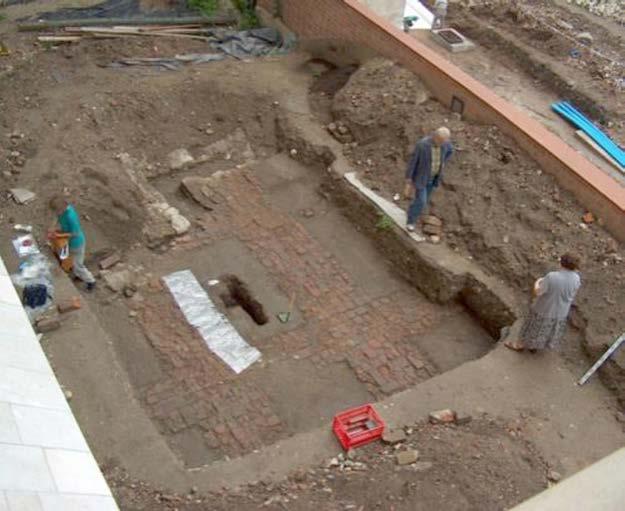 Na początku XXI wieku, archeolodzy pracujący na Wawelu zwracali się ponownie kilka razy do paleobotaników z prośbą o współpracę w związku z badaniami archeologicznymi prowadzonymi na terenie Wzgórza
