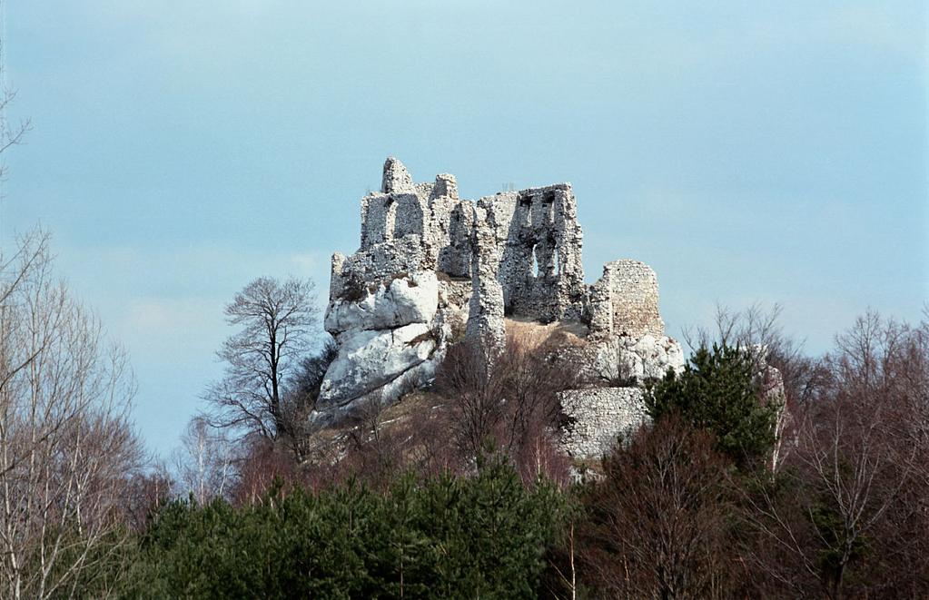 SESJE TERENOWE 93 Fot. 2. Ruiny zamku przed odbudową (http://pl.wikipedia.