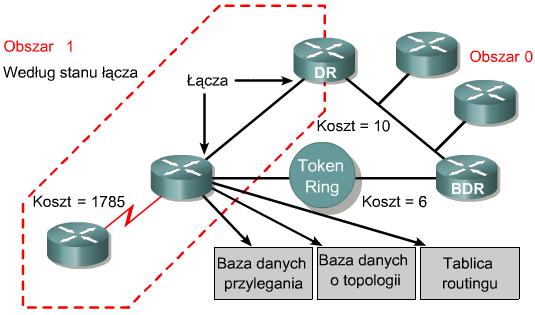 Terminologia używana w protokole