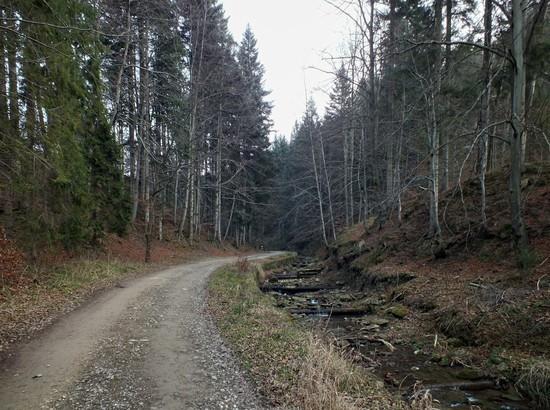 Po kilkunastu minutach trakt, zakręcając w prawo i lekko się