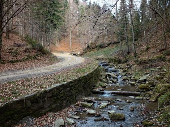 czas ostro rwąc do góry.