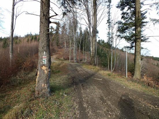 Po zejściu na częściowo zalesioną Przełęcz Isepnicką 698m , najtrudniejsza część szlaku zostanie za nami, dotarcie