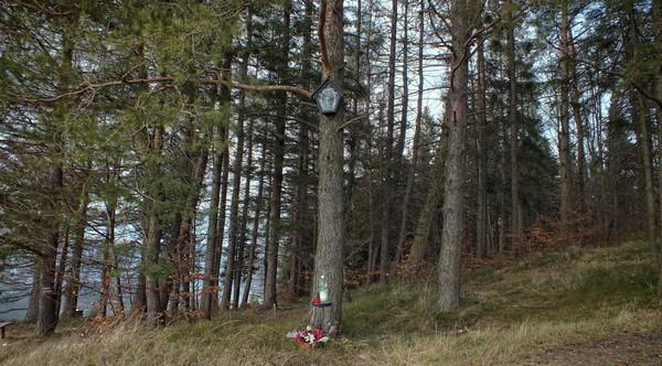 Kiczera widok w kierunku zbiornika na górze Żar Góry ofiarują to co najpiękniejsze... wolność, szczęście i siłę.