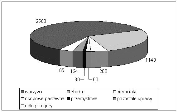 Kazimierz Rutkowski, Wiktoria Maternowska Cel, zakres, metodyka Celem pracy było określenie ilości odpadów po zbiorowych pochodzących z produkcji i konfekcjonowania warzyw oraz określenie możliwości