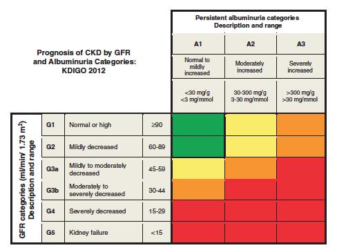 Albuminuria i GFR niezależne predyktory ryzyka CKD KDIGO