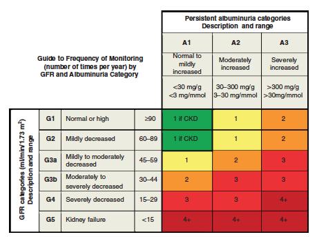 Niezależny wpływ albuminurii i GFR na częstość monitorowania pacjenta z
