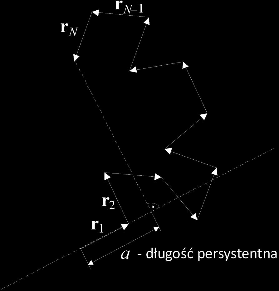 Statystyka łańcucha polimeru sztywnego, długość persystentna persistent (ang.