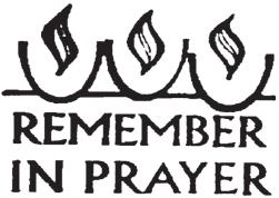 Gospel Meditation Encourage Deeper Understanding of Scripture 14th Sunday in Ordinary Time "Come to Me, all you who labor and are burdened, and I will give you rest.