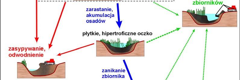 naturalnych i