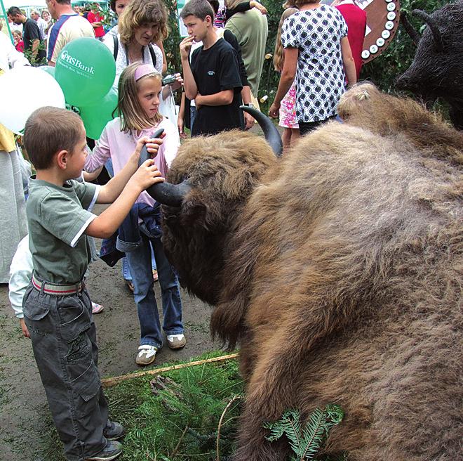 Fot. 4. Agrobieszczady 2008 Każdy chciał pogłaskać żubra Photo 4.