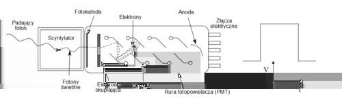 Budowa Gamma Kamery Okres przez powstaniem "Gamma-Kamery" Najprostszym pomysłem na budowę aparatury do rejestracji promieniowania gamma powstałego emitowanego przez radiofarmaceutyk wprowadzony do