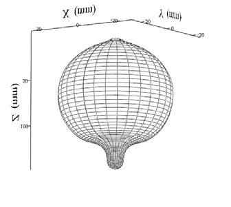 44 POSTĘPY TECHNIKI PRZETWÓRSTWA SPOŻYWCZEGO 1/2016 Na rysunku 3 zamieszczono model 3D główki cebuli.