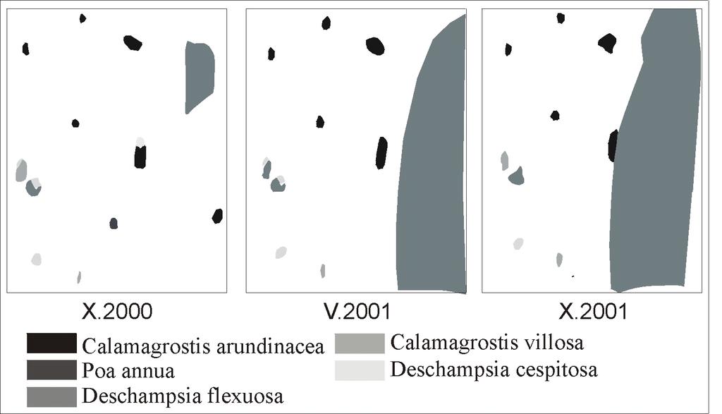 Ryc. 1. Dynamika roślinności na wybranej powierzchni w okresie dwóch lat. Fig. 1. The changes of the plant cover on the sample plot during two years.