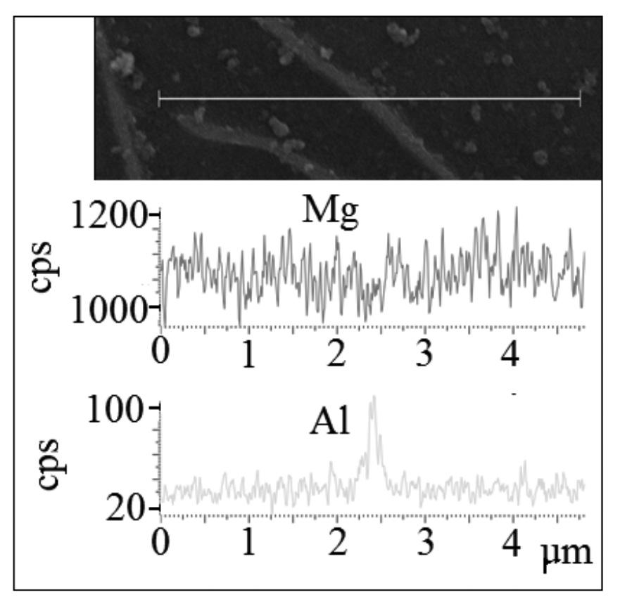 The observed microstructure of base material was subjected to the chemical analysis and line scan. Chemical analysis was performed in points marked on the microstructure shown in Fig. 6.