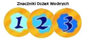 występowania na pustyni małych oczek wodnych. Jeśli któryś z graczy postawi wielbłąda na polu zawierającym oczko, zabiera znacznik tego oczka wodnego. Znaczniki Punktacji Oazy (Oasis Scoring Markers).