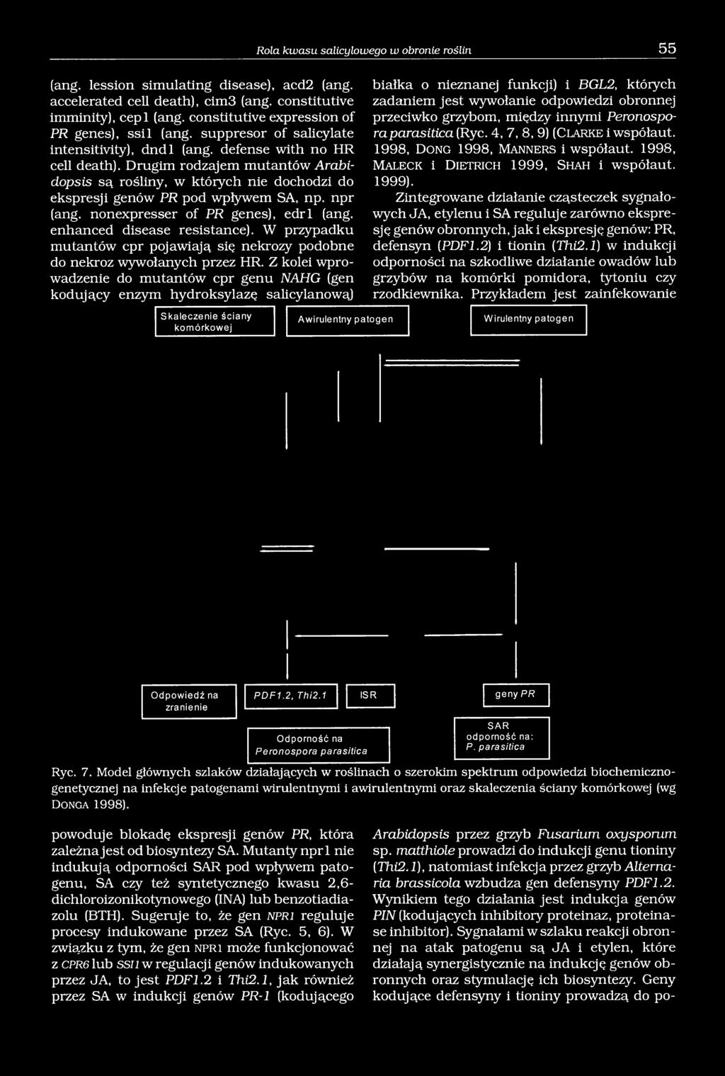 Drugim rodzajem mutantów Arabidopsis są rośliny, w których nie dochodzi do ekspresji genów PR pod wpływem SA, np. npr (ang. nonexpresser of PR genes), edrl (ang. enhanced disease resistance).