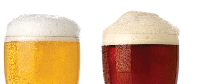 FAKTY I MITY NA TEMAT PIWA / Głównym składnikiem piwa jest chmiel nieprawda Chmiel, wbrew powszechnej opinii, nie jest najważniejszym składnikiem piwa.